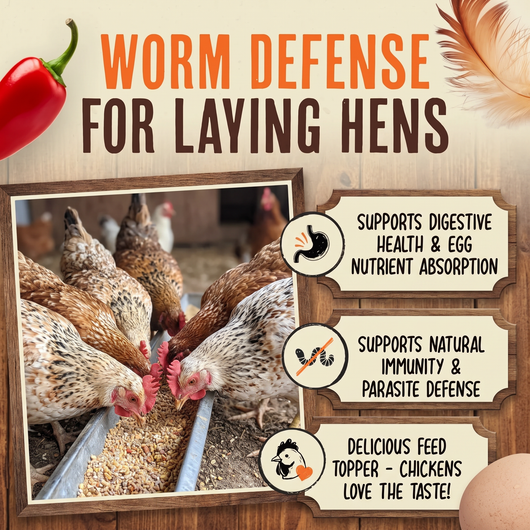 Daily Worm Defense